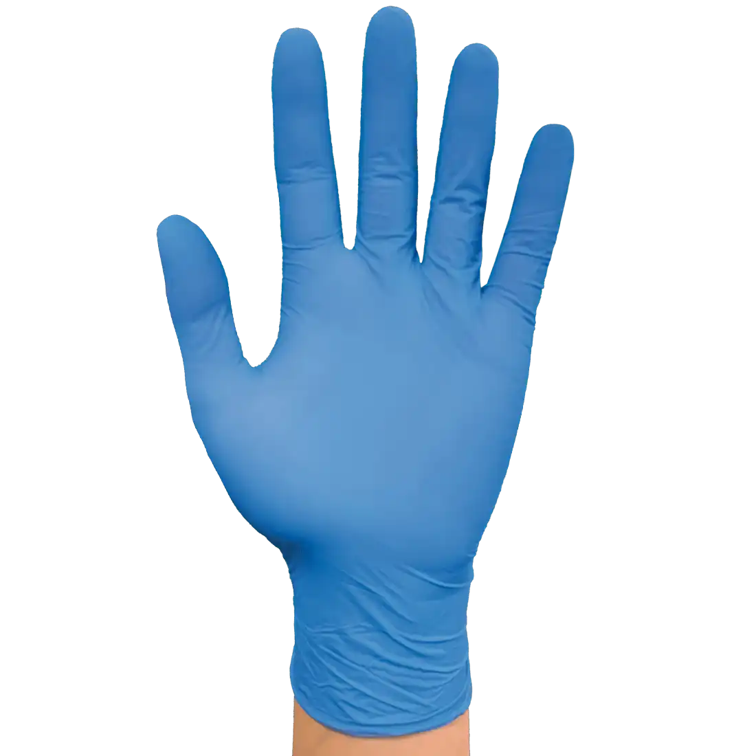 BLU FLEX GLOVES - Vinyl-Nitrile Blend - Latex-Free - Powder-Free - Image 1